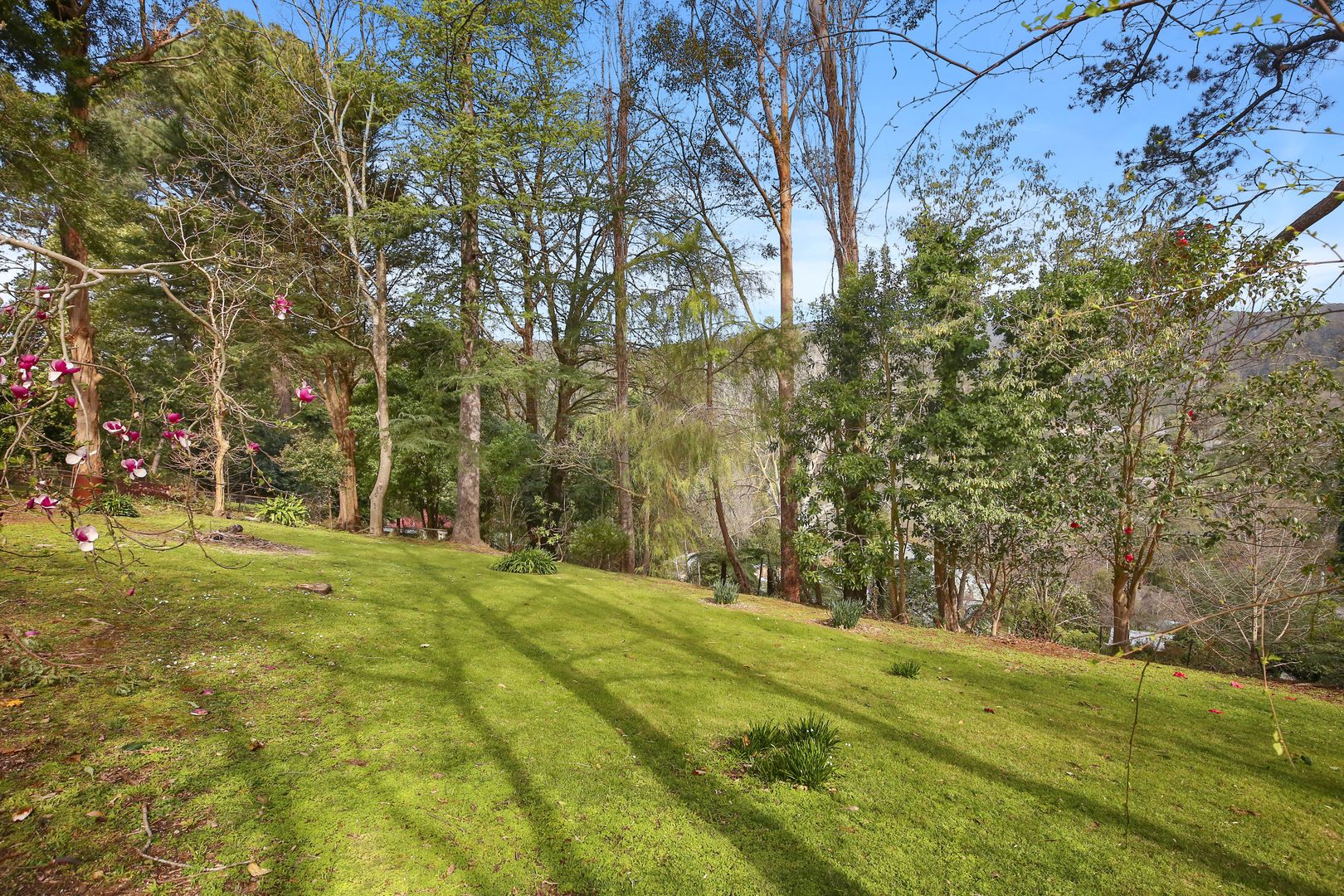 5 Martyr Road, Warburton VIC 3799, Image 1