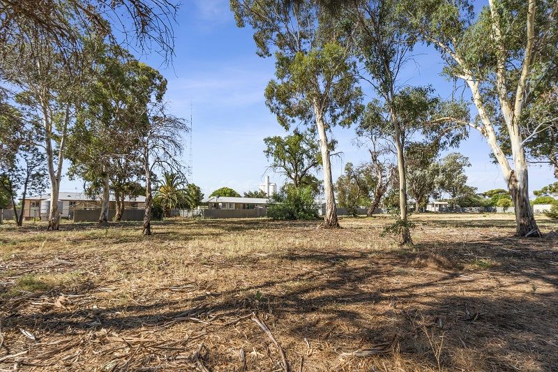 113 McCutcheon Street, Waikerie SA 5330, Image 1