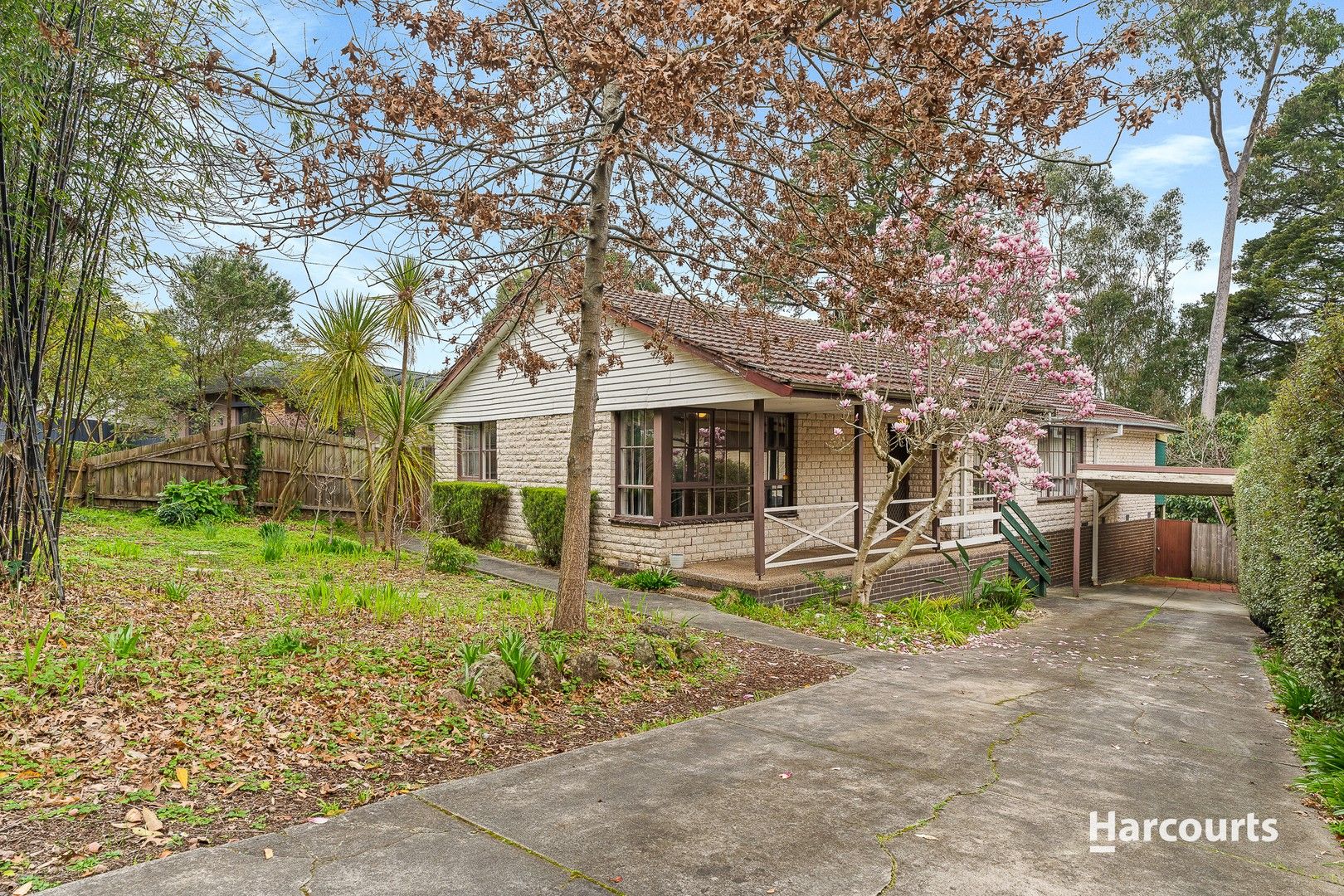 37 Sonia Street, Ringwood VIC 3134, Image 0