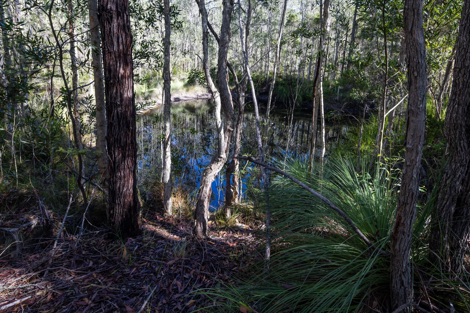 Additional image 36 of 103 Kawana Lane, Barraganyatti NSW 2441