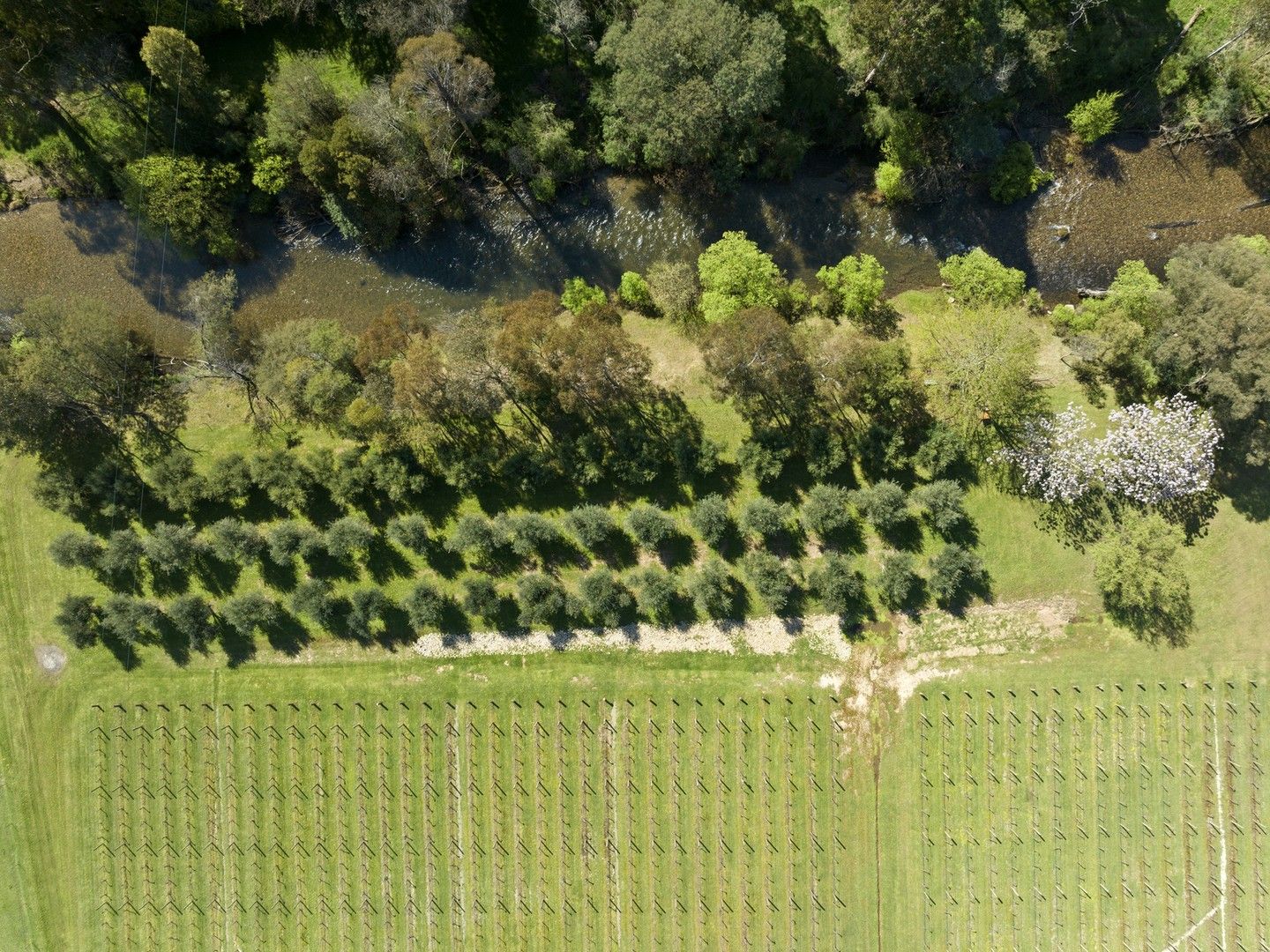 289 JamiesonLicola Road, Jamieson VIC 3723 House for Sale Domain