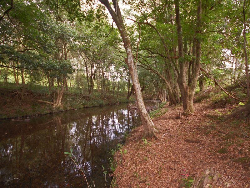 BOBIN NSW 2429, Image 1