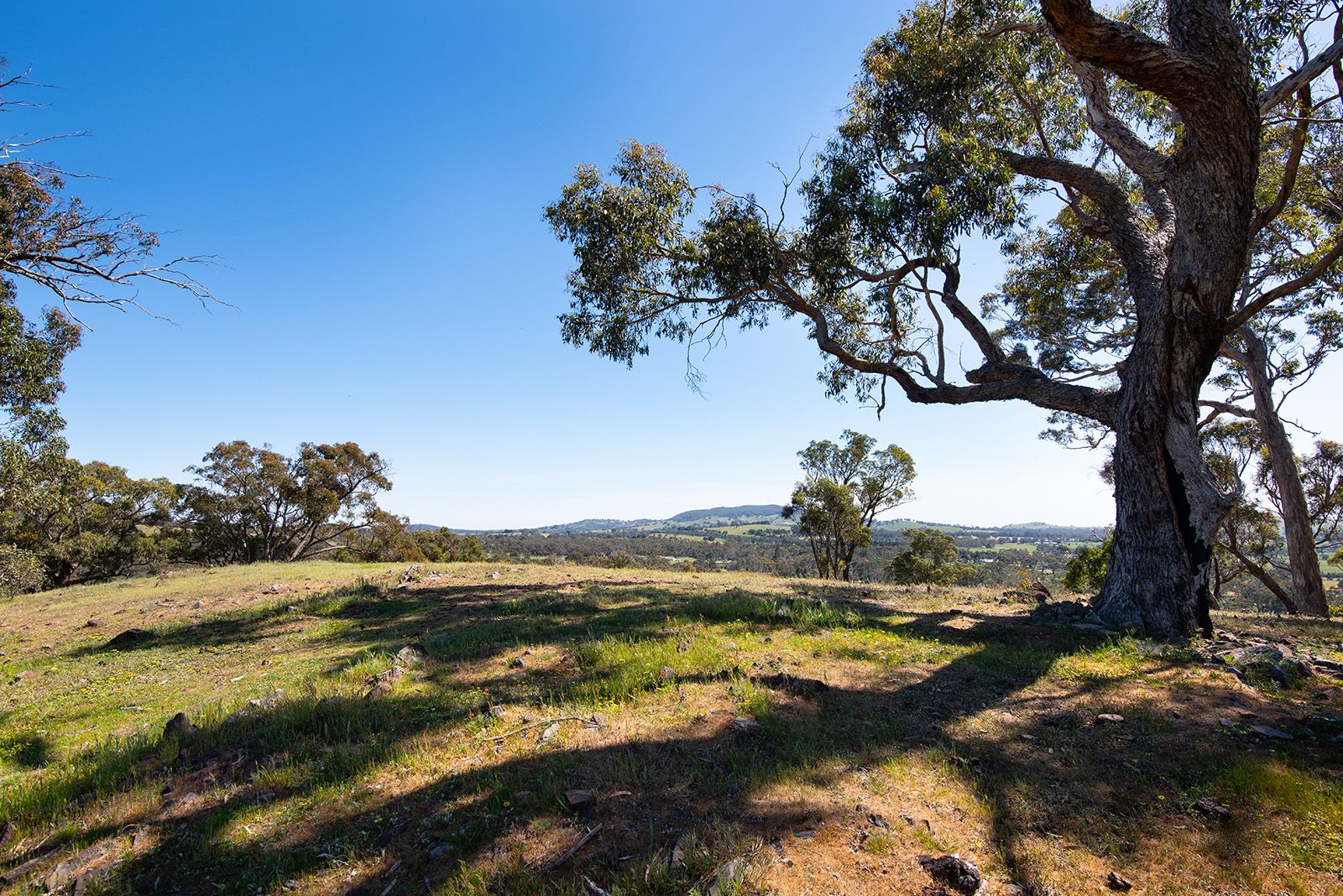 Bubbs Lane, Elphinstone VIC 3448, Image 1