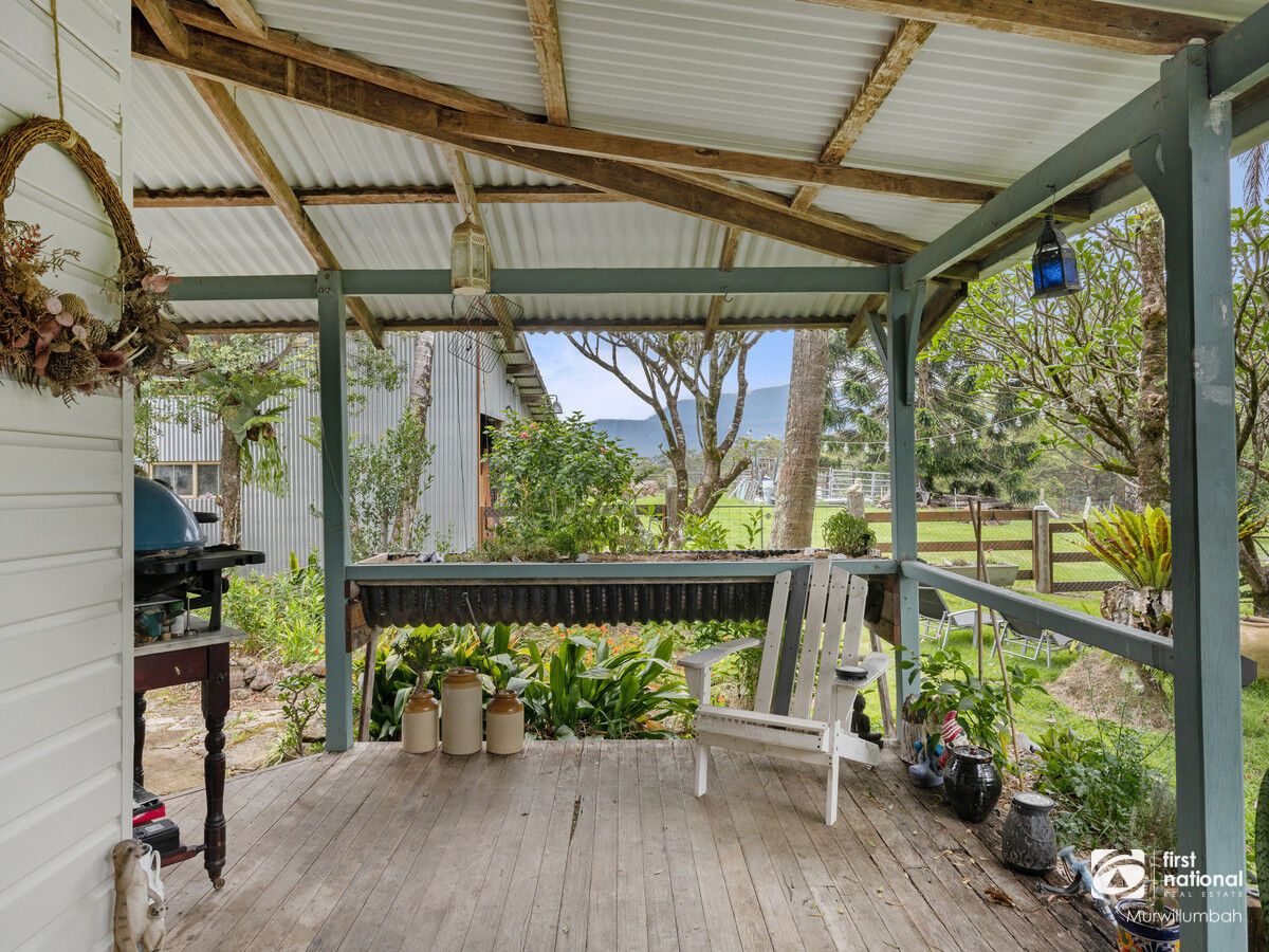 438 Mount Burrell Road, Mount Burrell NSW 2484 Domain