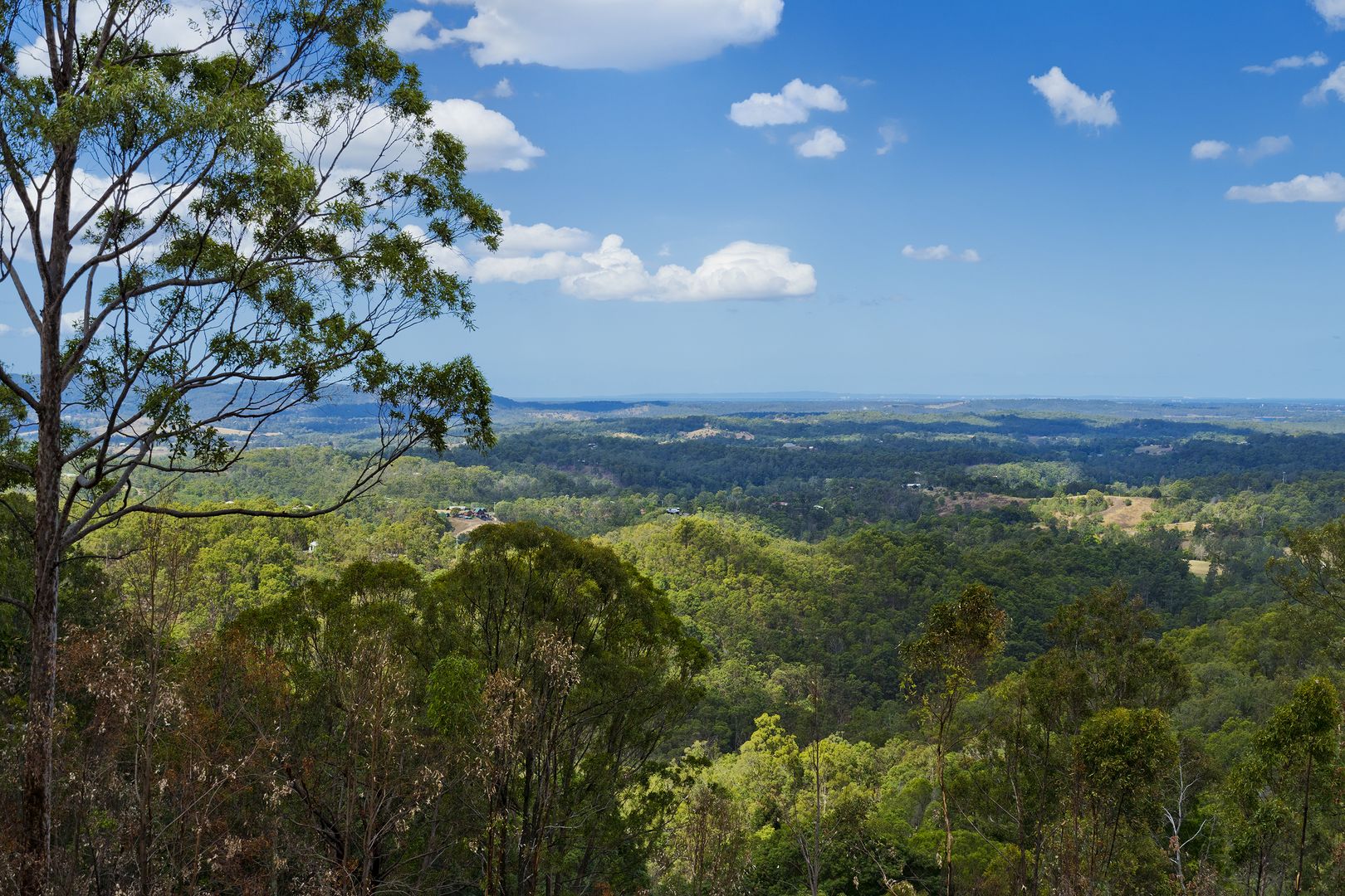 164A Boongala Court, Kobble Creek QLD 4520, Image 1