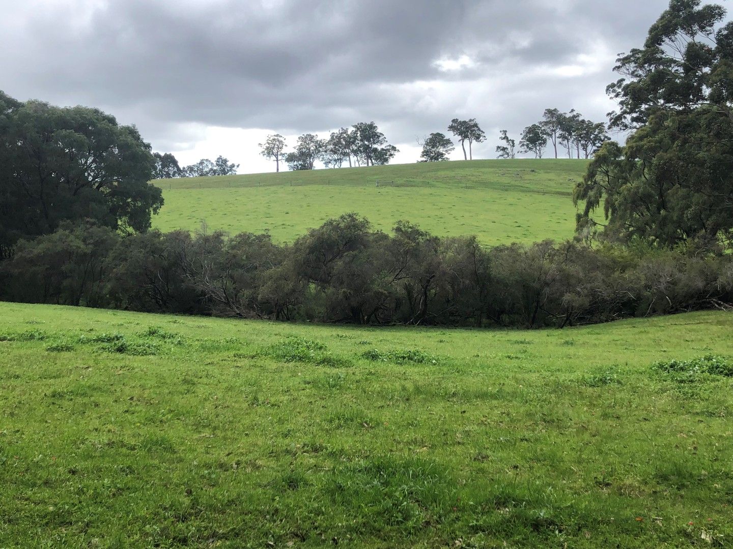 686/742 Davis Road, Rosa Glen WA 6285 House for Sale Domain