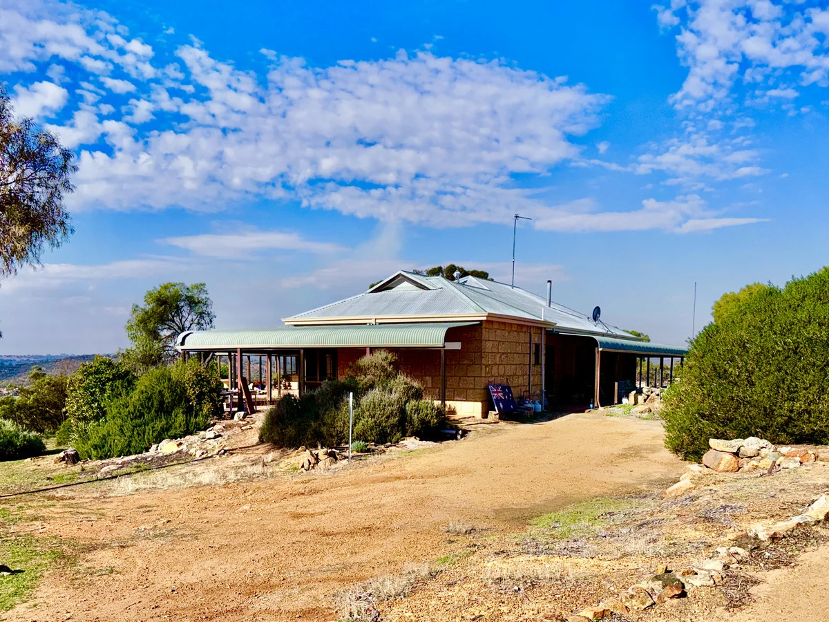 Image 35