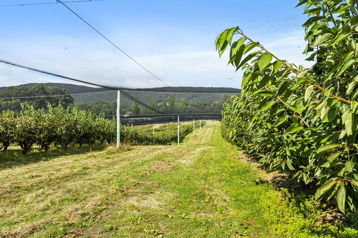 Additional image 14 of 3643 Channel Highway, Birchs Bay TAS 7162