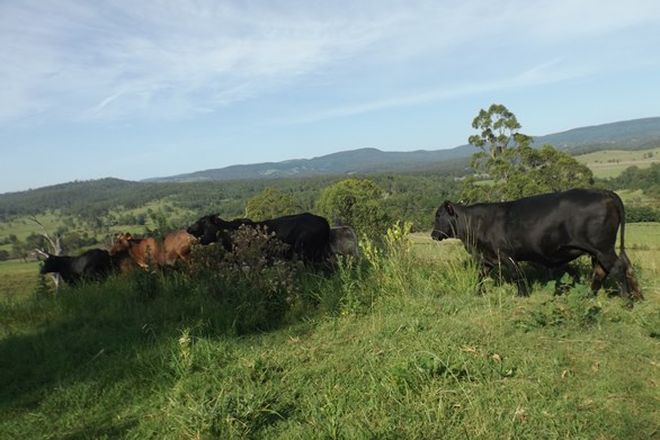 Picture of 2914 Sextonville Rd, WOOLNERS ARM NSW 2470