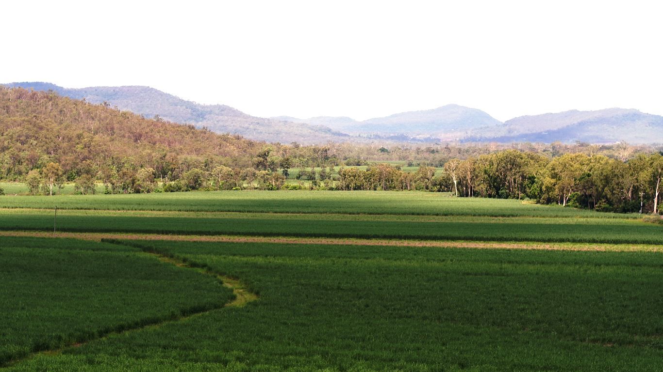 Gargett QLD 4741, Image 2