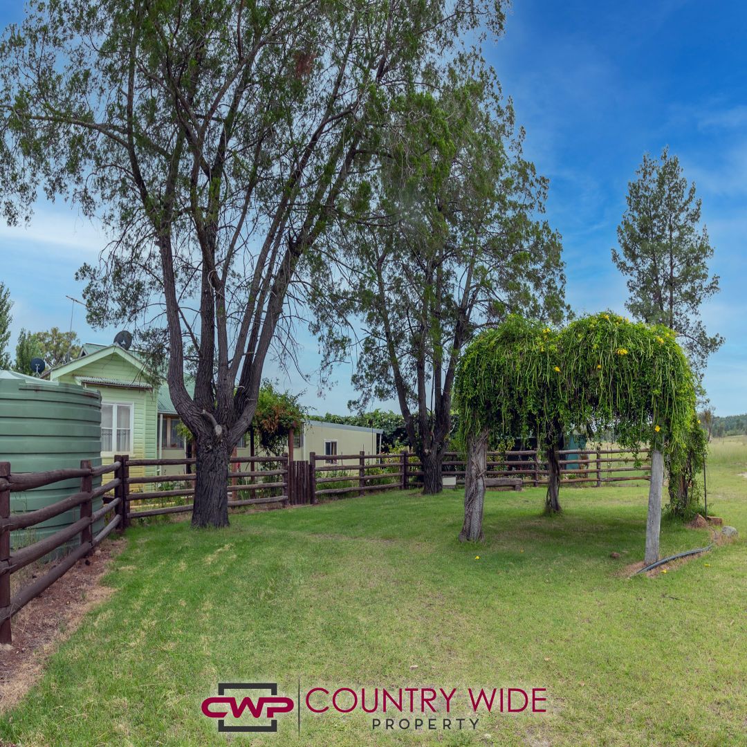 272 Baltimore Loop Road, Ashford NSW 2361, Image 2