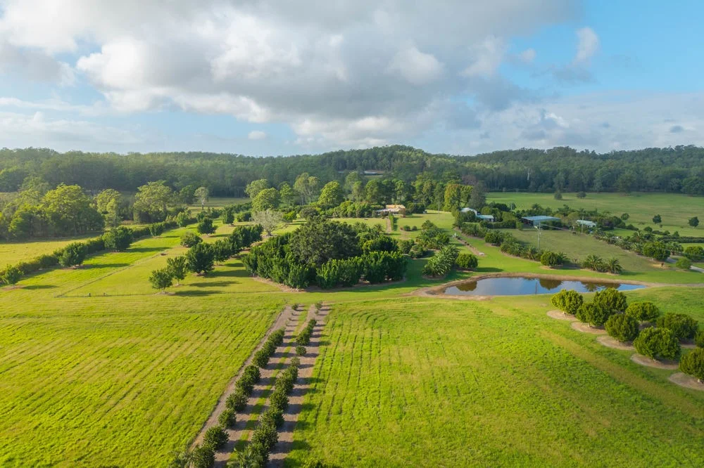 458 Farrawells Road, Telegraph Point NSW 2441