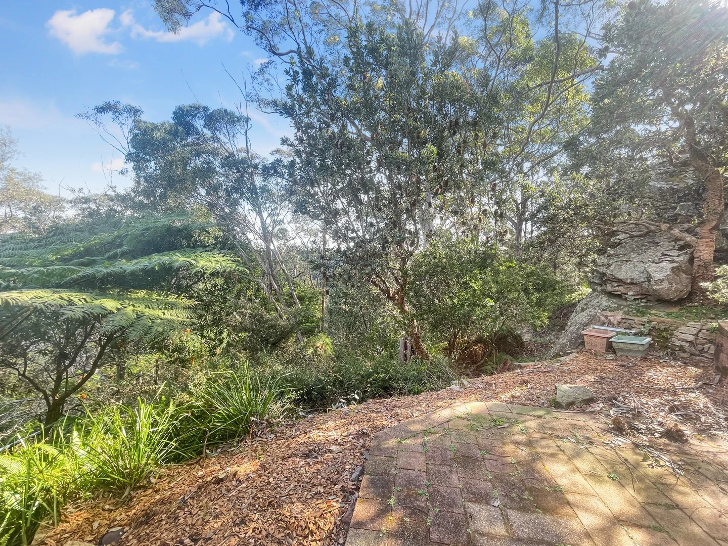 Additional image 6 of 97 Davies Avenue, Springwood NSW 2777