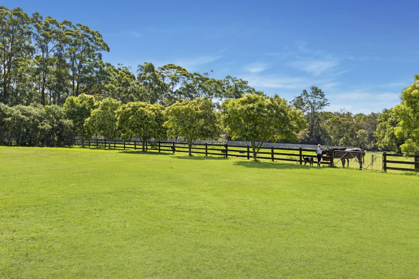 Additional image 27 of 3 Jones Road, Calga NSW 2250