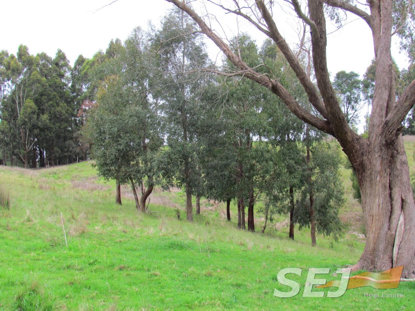 Lot 3 Mizpah Settlement Road, Buln Buln East VIC 3821, Image 2