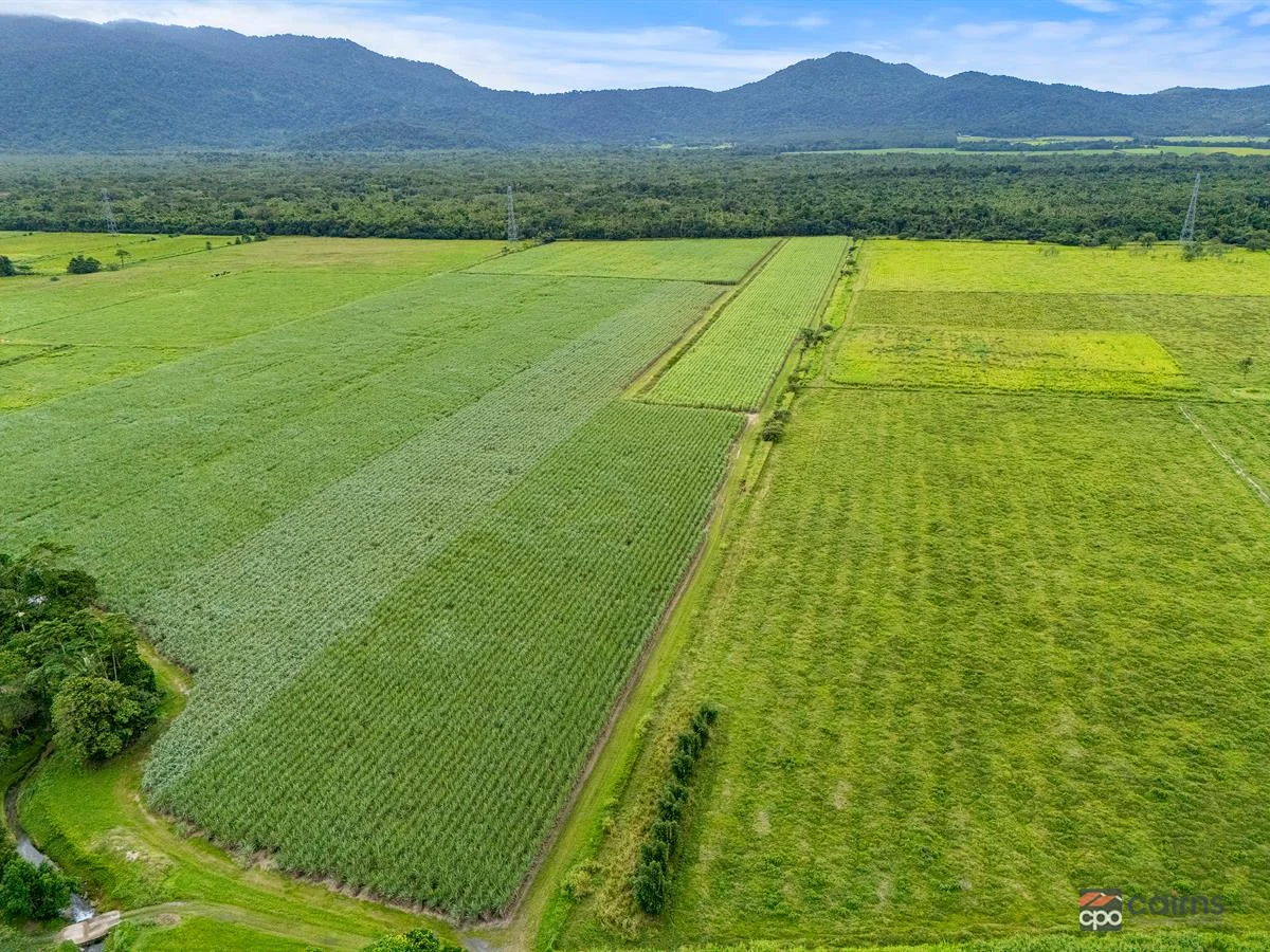Additional image 8 of 101 Bruce Highway, Bellenden Ker QLD 4871