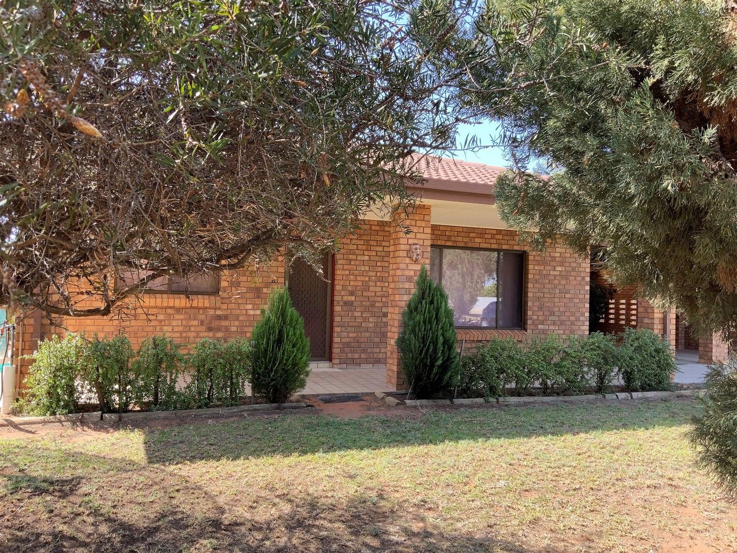 4 bedrooms House in 113 Twentythird Street RENMARK SA, 5341