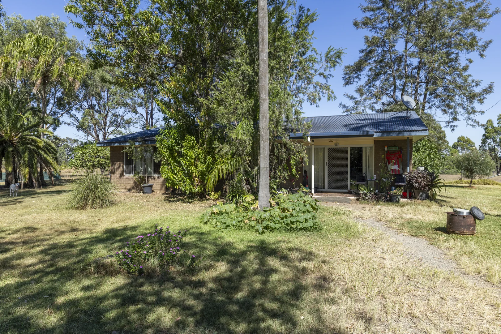 Image 8