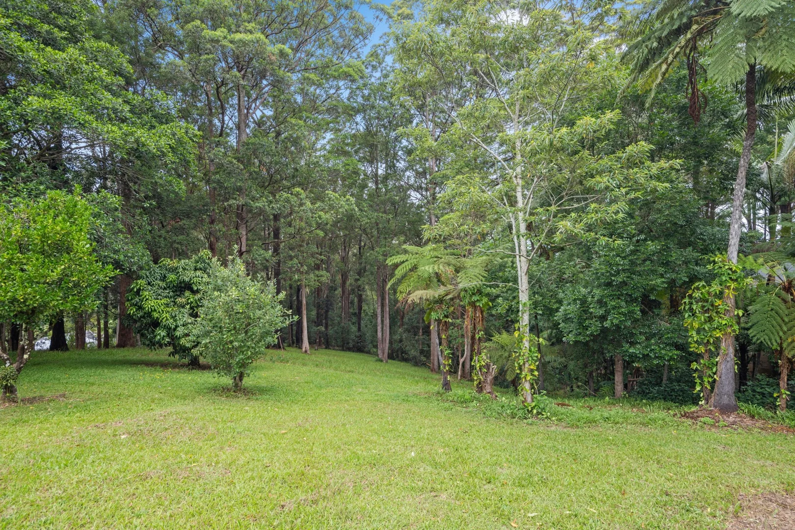 Image 13