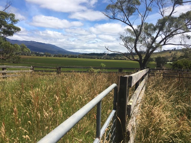 PID 3181150 Dairy Plains Road, Dairy Plains TAS 7304, Image 1