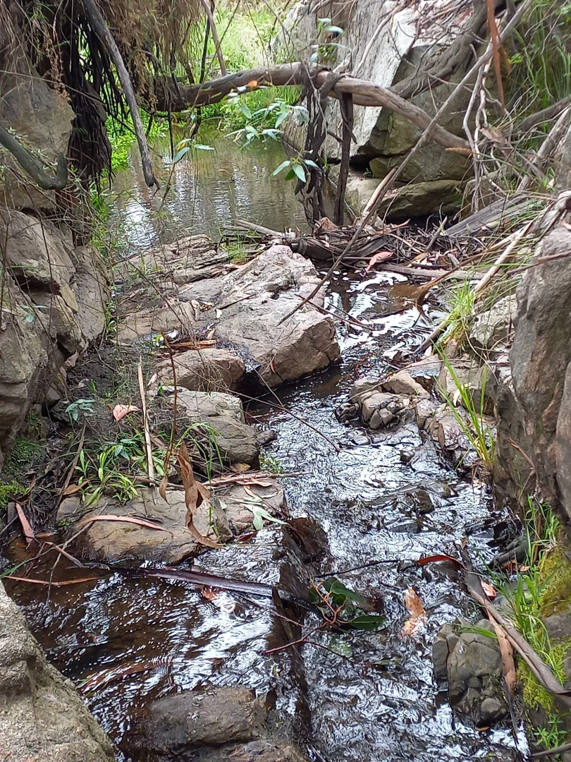 Image 13