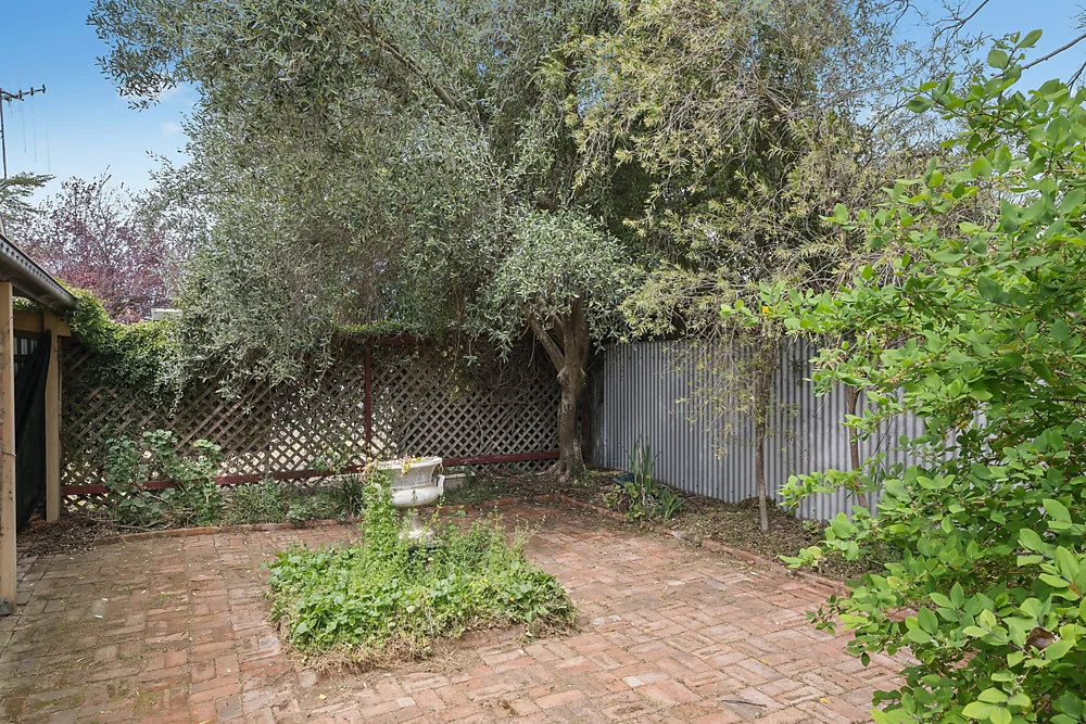Image 14