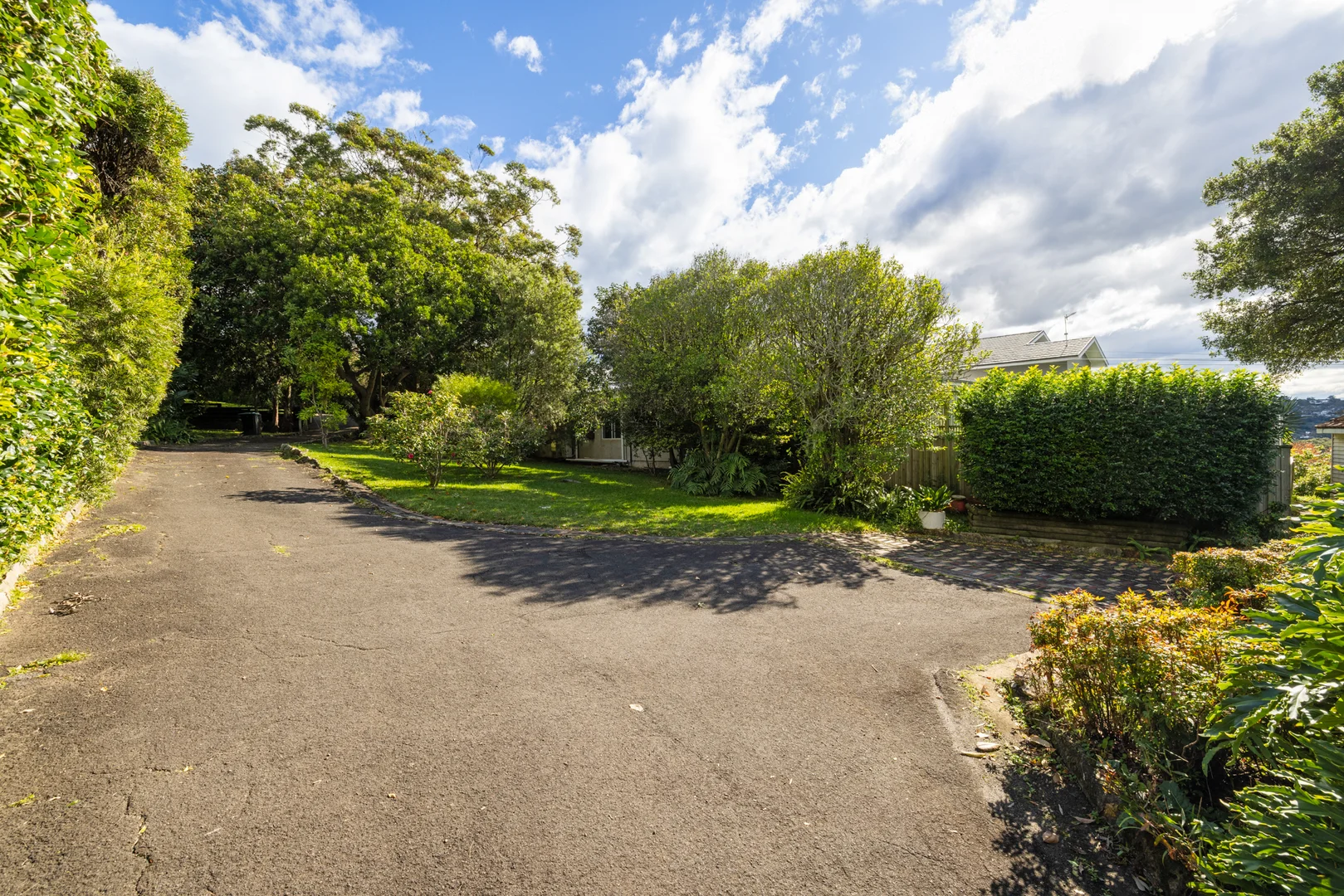Image 13