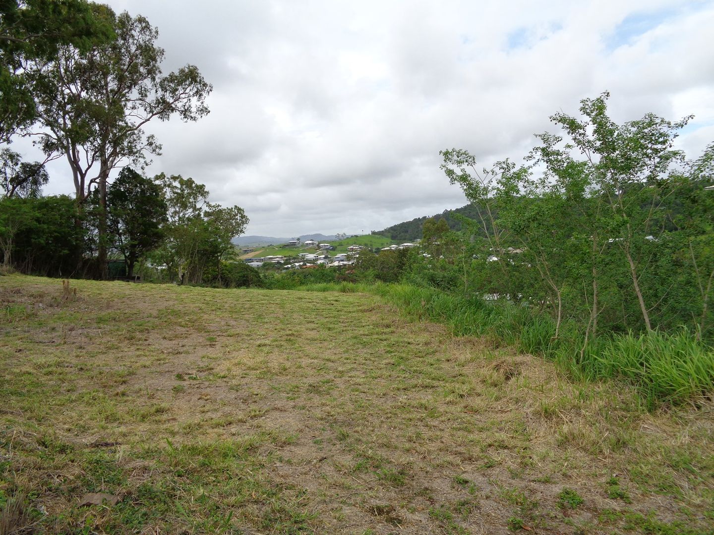 Lot 242 Palomino Parade, Erakala QLD 4740, Image 1