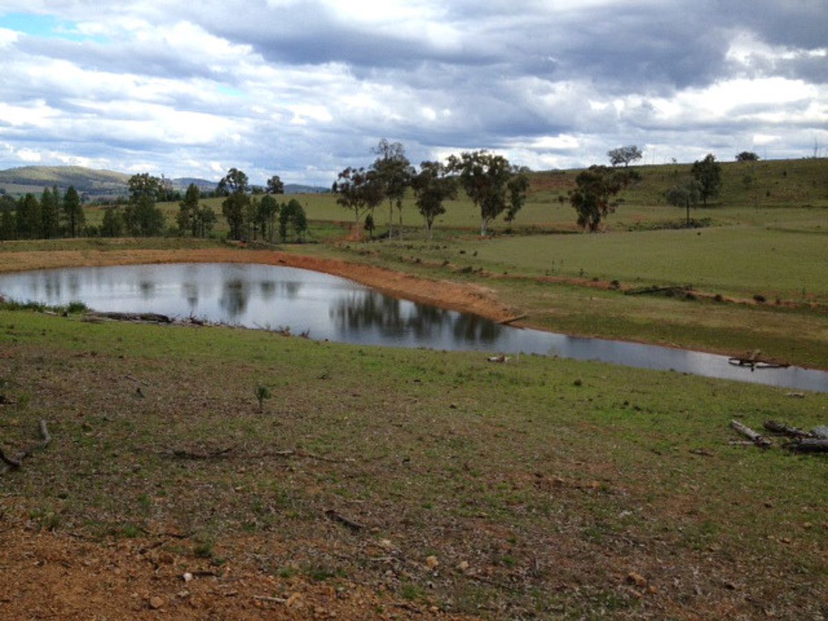 904 Sheep Station Creek Road, Inverell NSW 2360, Image 0