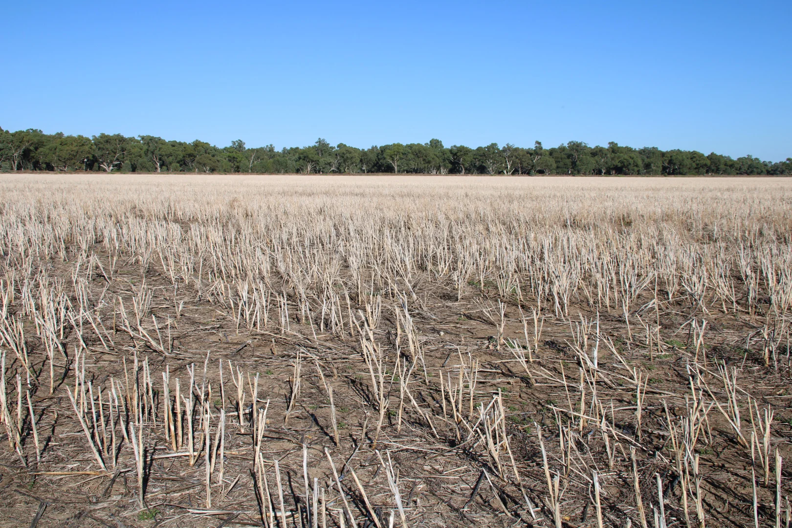 Additional image 8 of 20841 Kamilaroi Highway, Narrabri NSW 2390