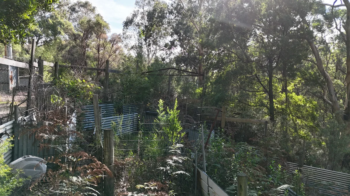 Image 15