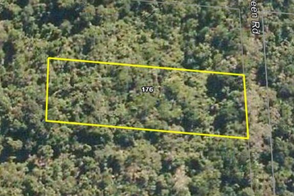 176 Carbeen Road, Daintree QLD 4873, Image 1