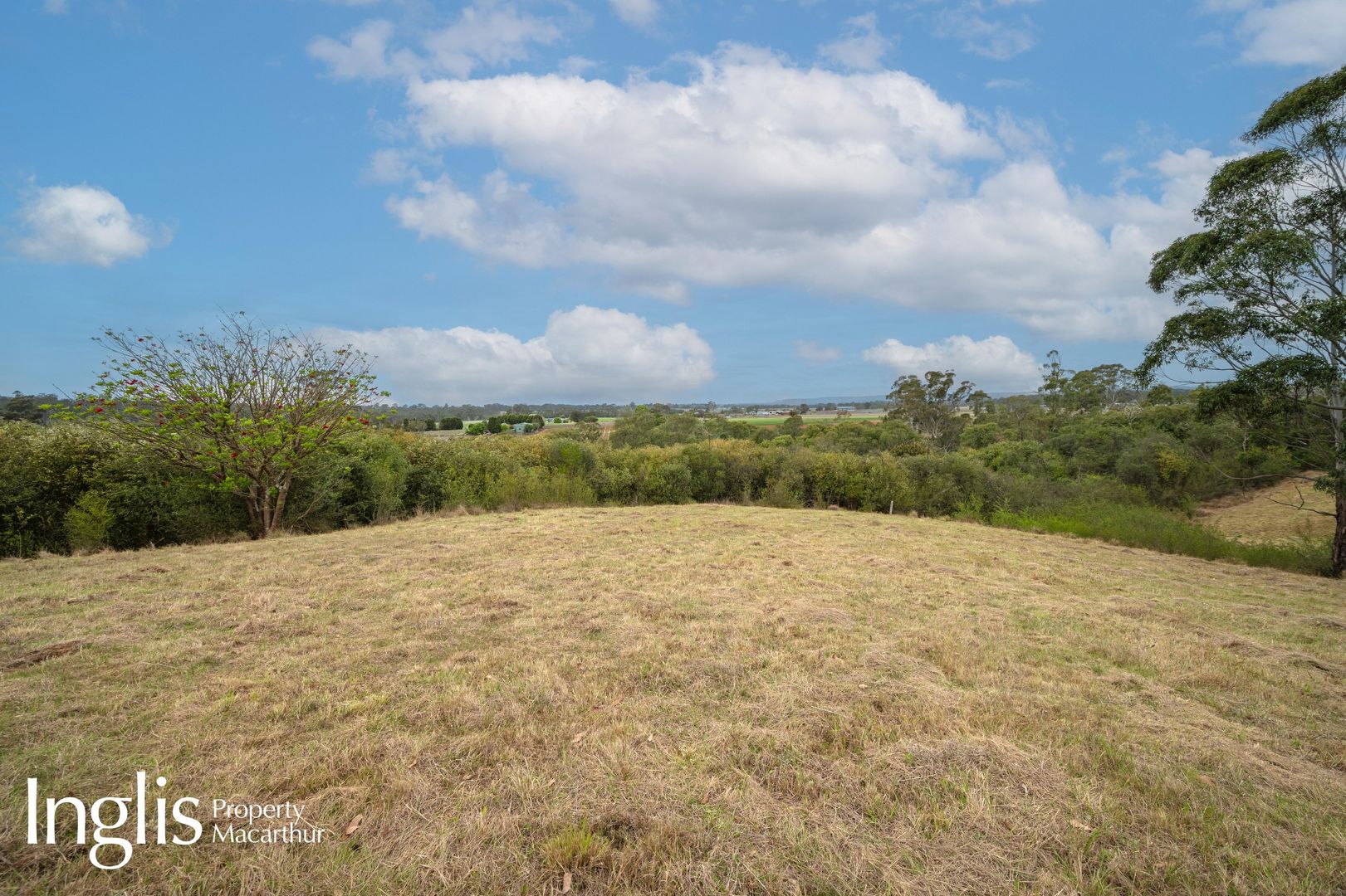 284 Cobbitty Road, Cobbitty NSW 2570, Image 1