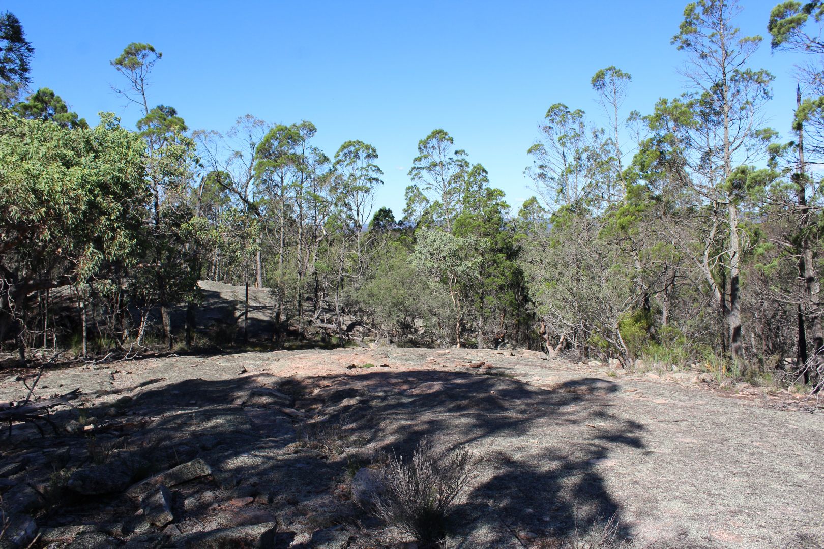 Lot 211 Spring Creek Rd, Greenlands QLD 4380, Image 2