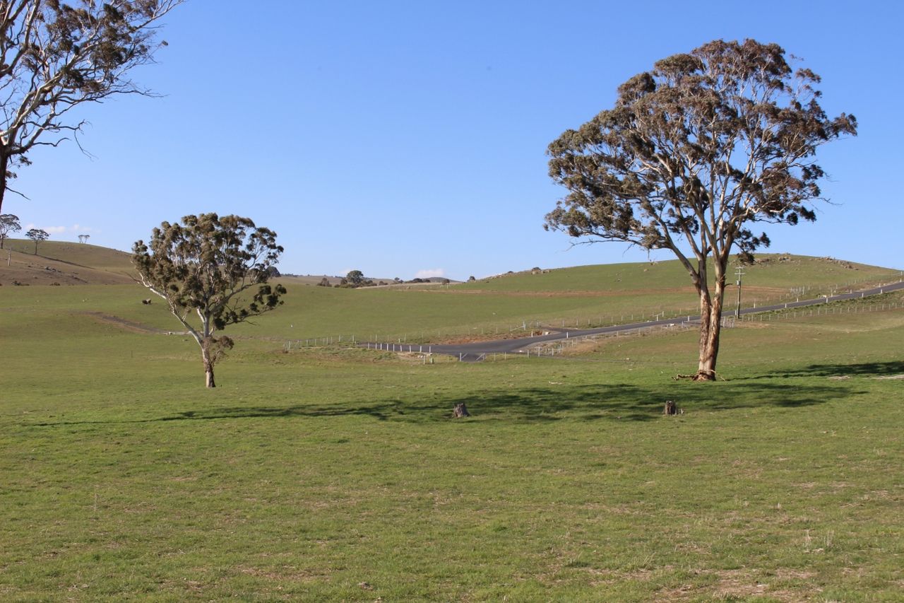 Lot 207 Browns Creek Road, Blayney NSW 2799, Image 1