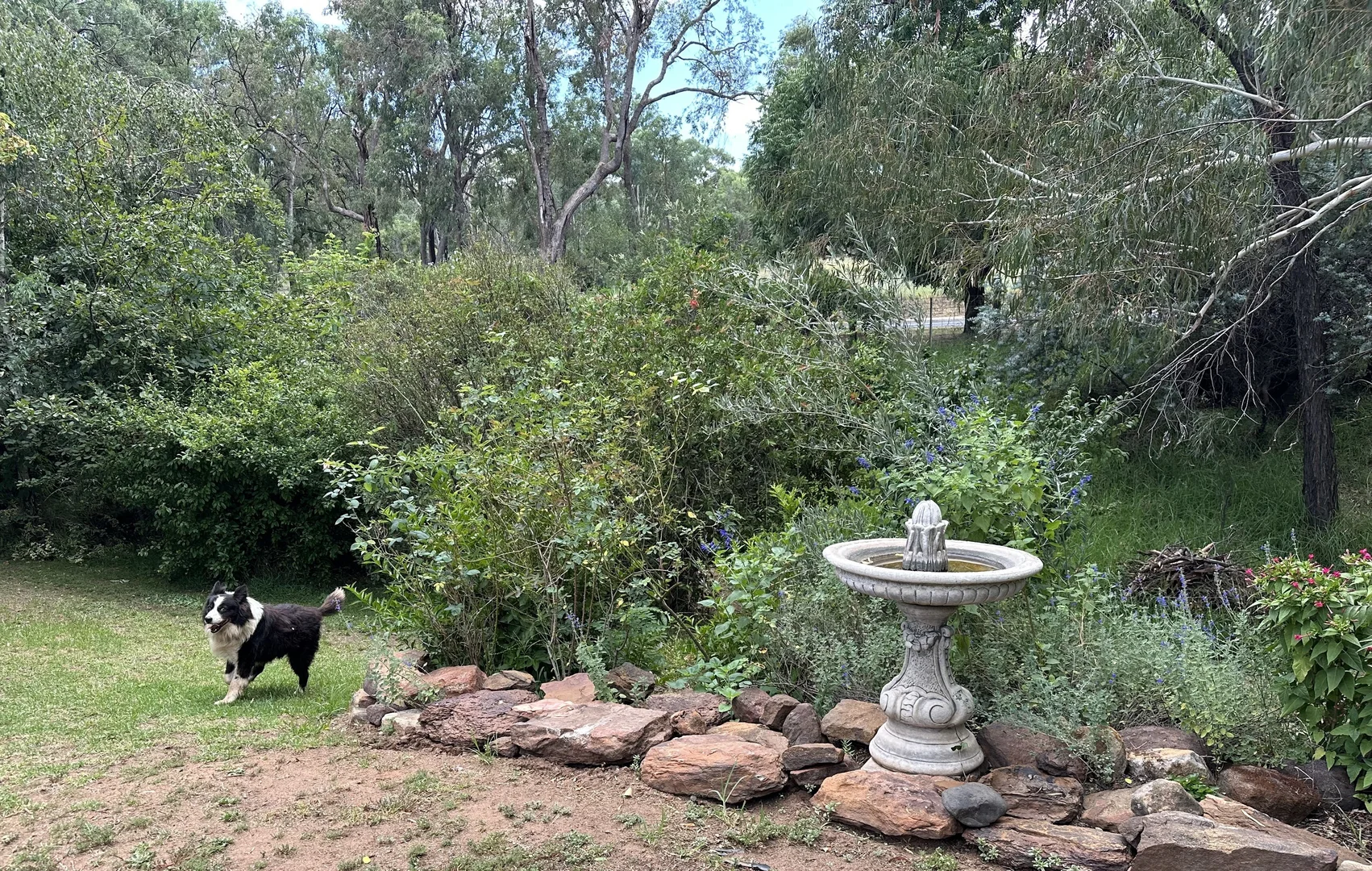 Image 31