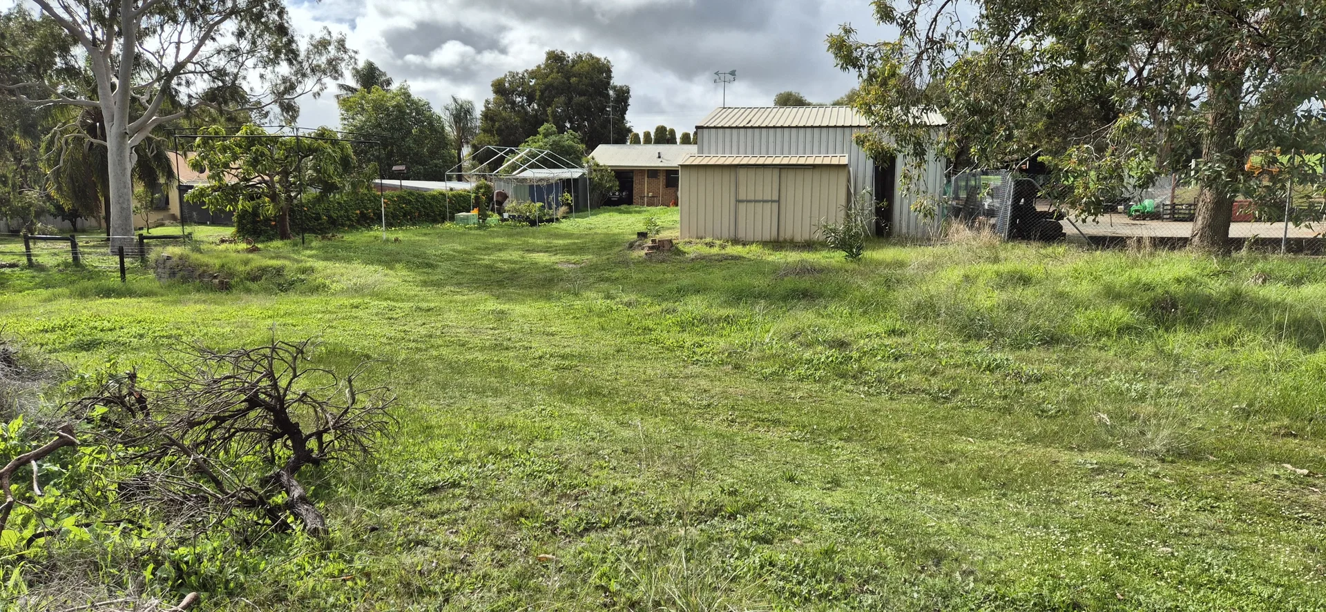 Image 15