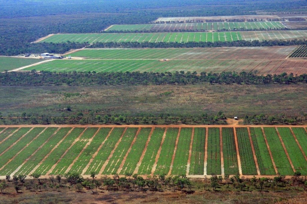 Mataranka NT 0852, Image 1