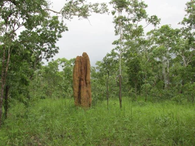 Image 8