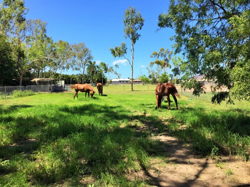 31 Hammond Way, Kelso QLD 4815, Image 1