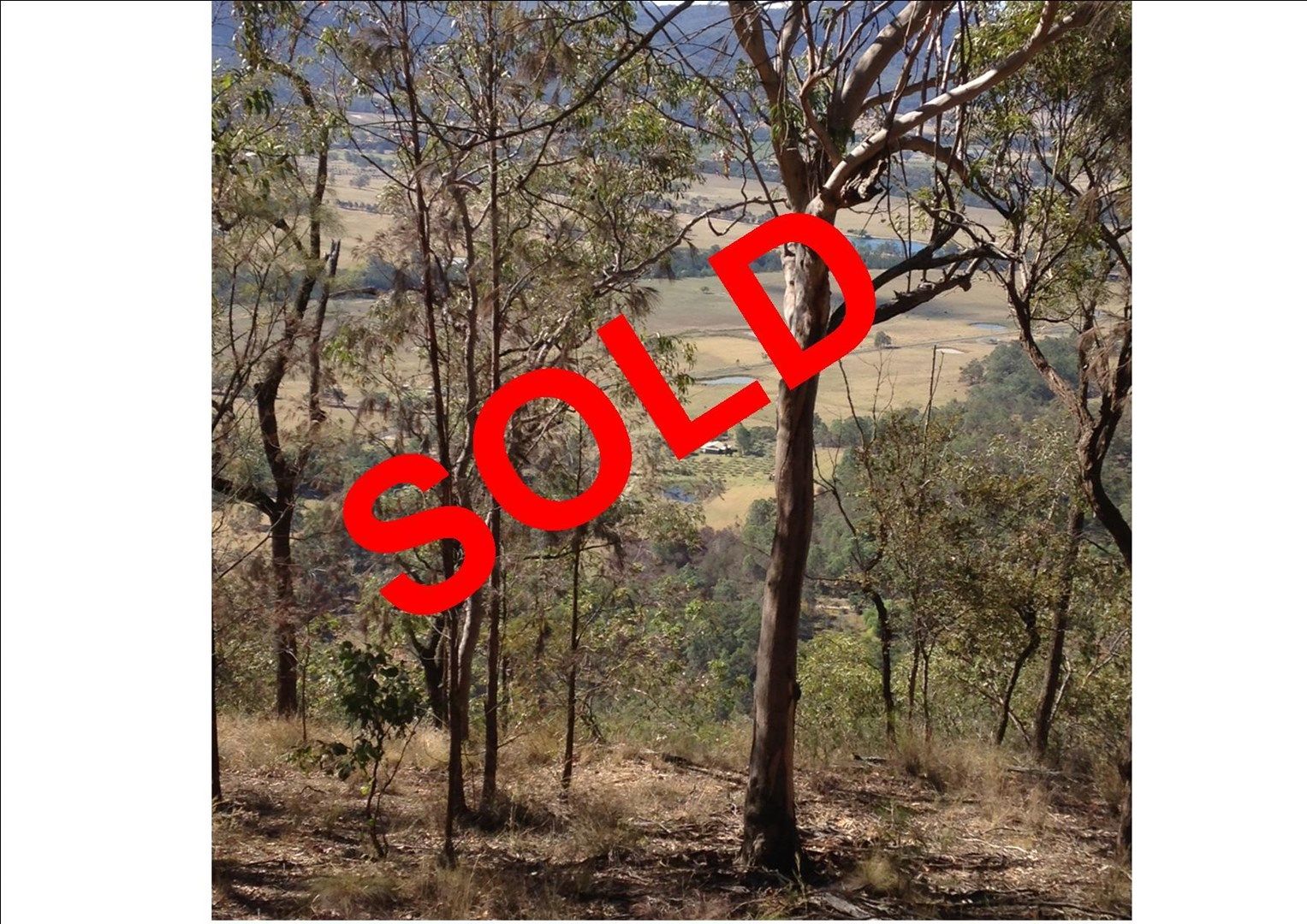 Lot 118 Wollombi Road, Broke NSW 2330, Image 0