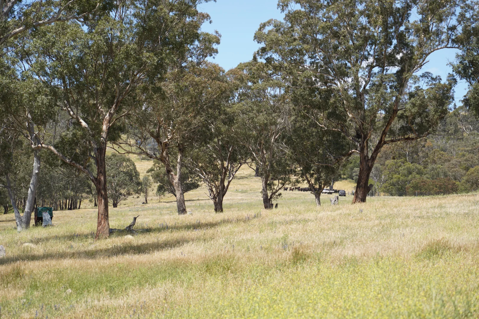 Additional image 5 of 410 Honeysuckle Falls Road, Tarana NSW 2787