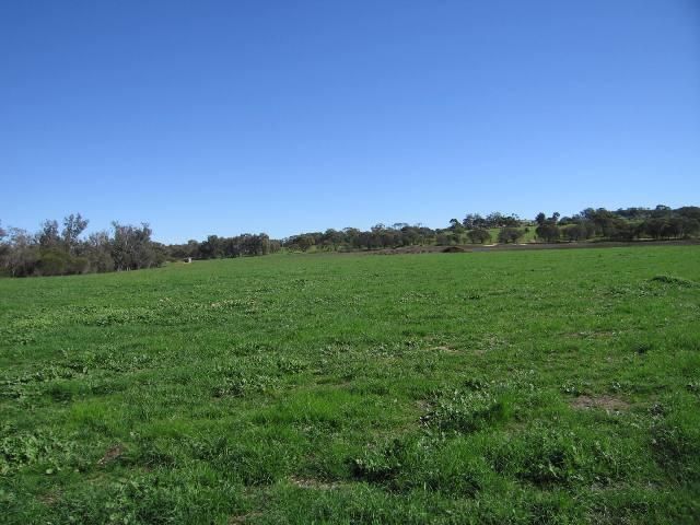 Lot 153 York-Williams Road, Dale WA 6304