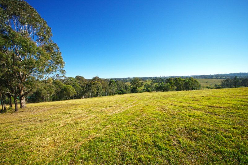 Lot 501 Bobs Range Road, Orangeville NSW 2570, Image 2