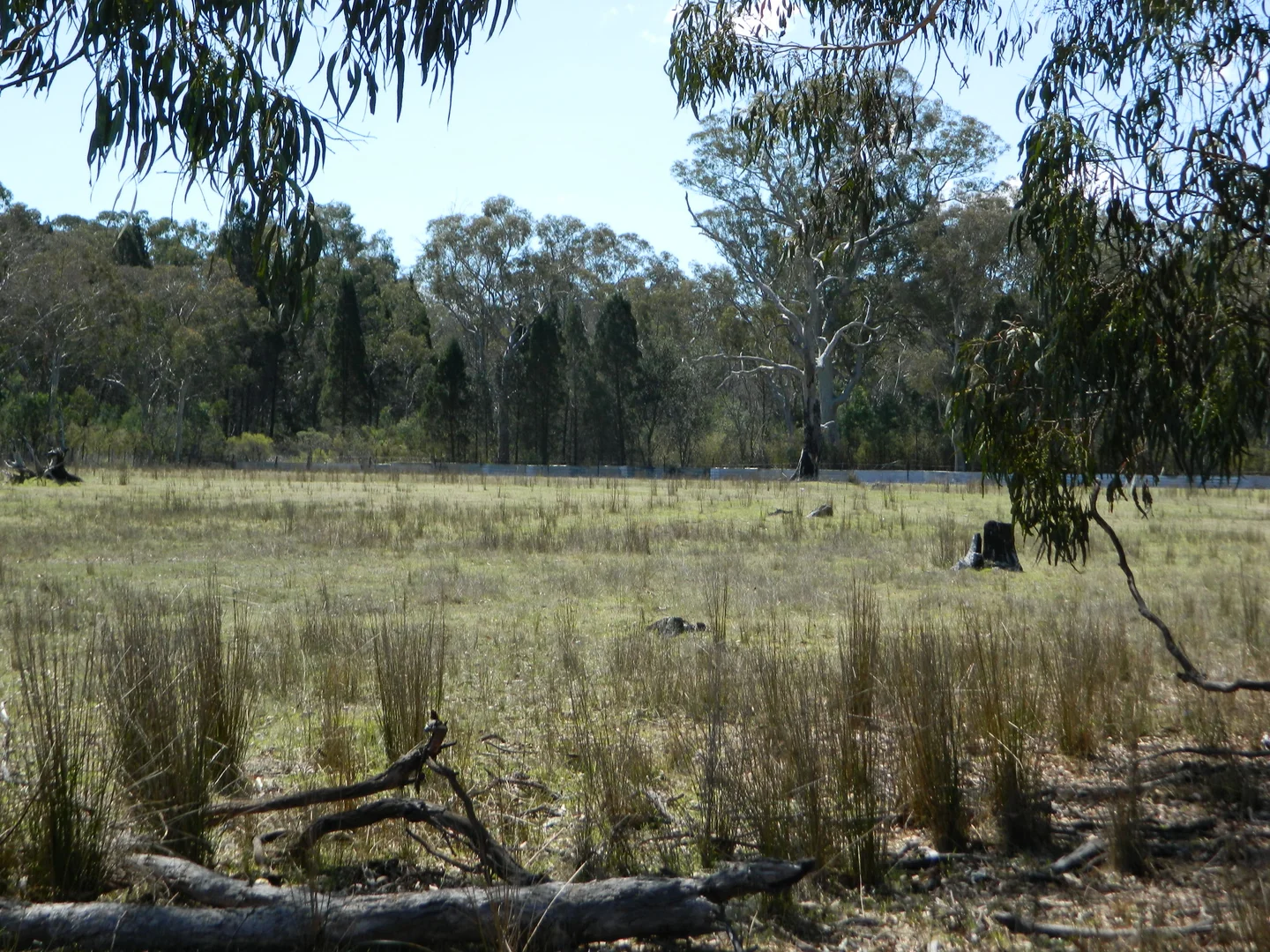 Image 15