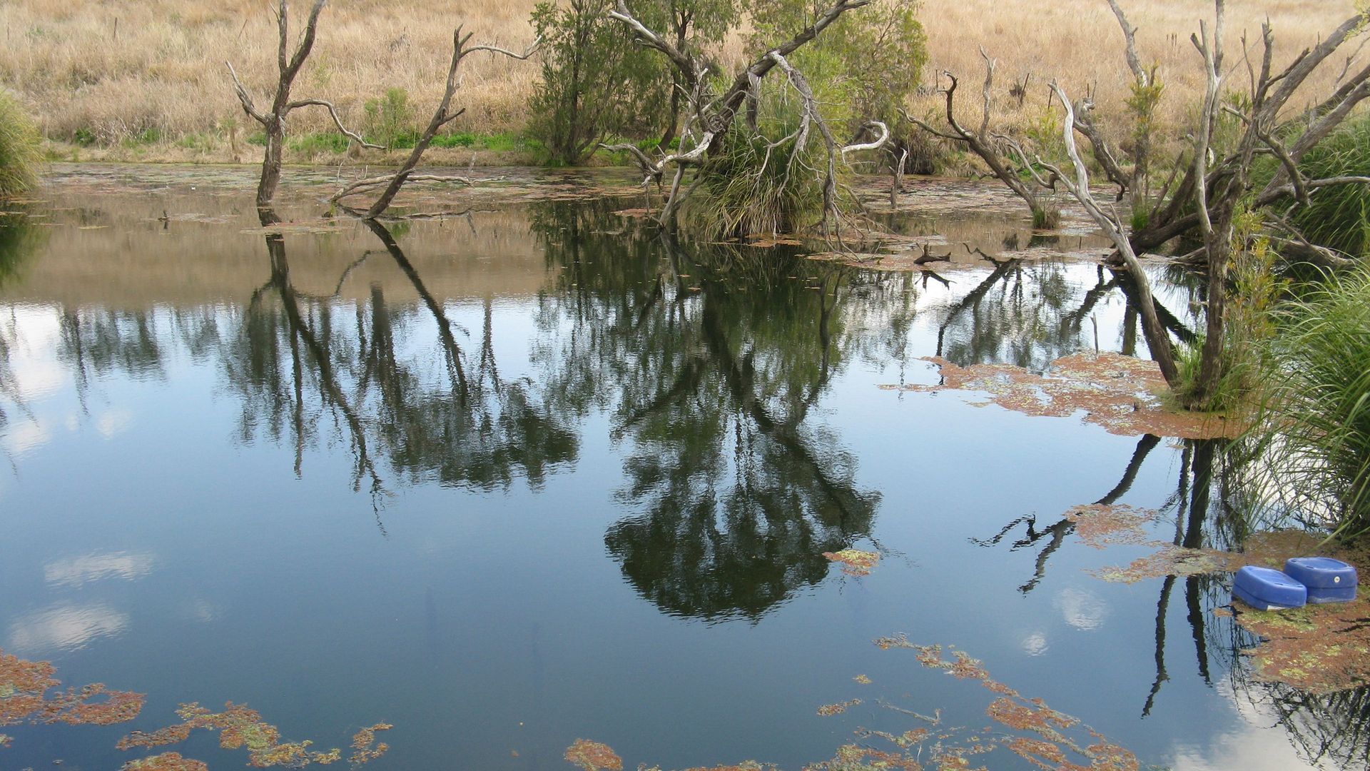 Murgon QLD 4605 House for Sale 749,000 Domain