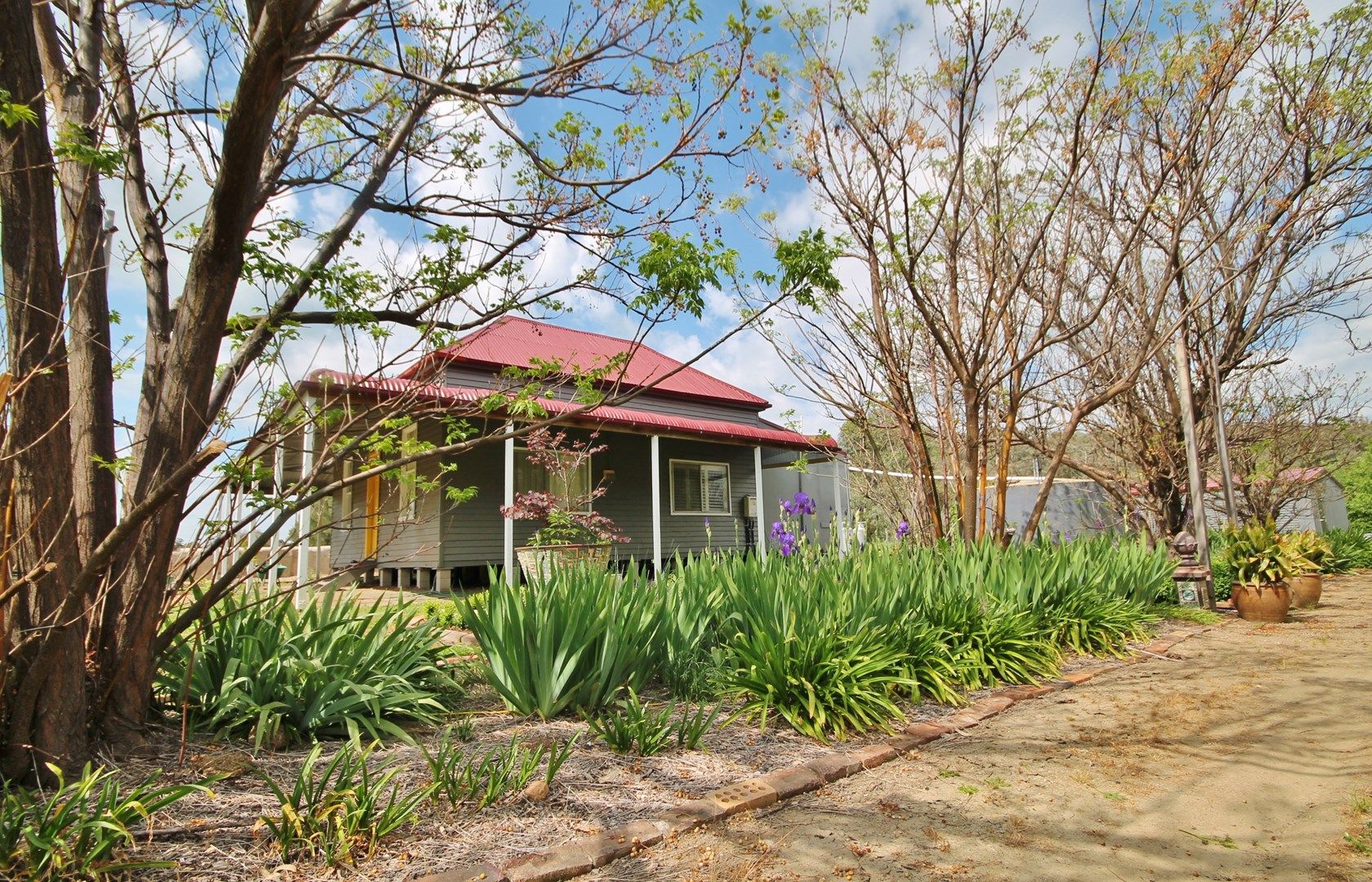 81 Murringo Gap Road, Murringo NSW 2586, Image 0