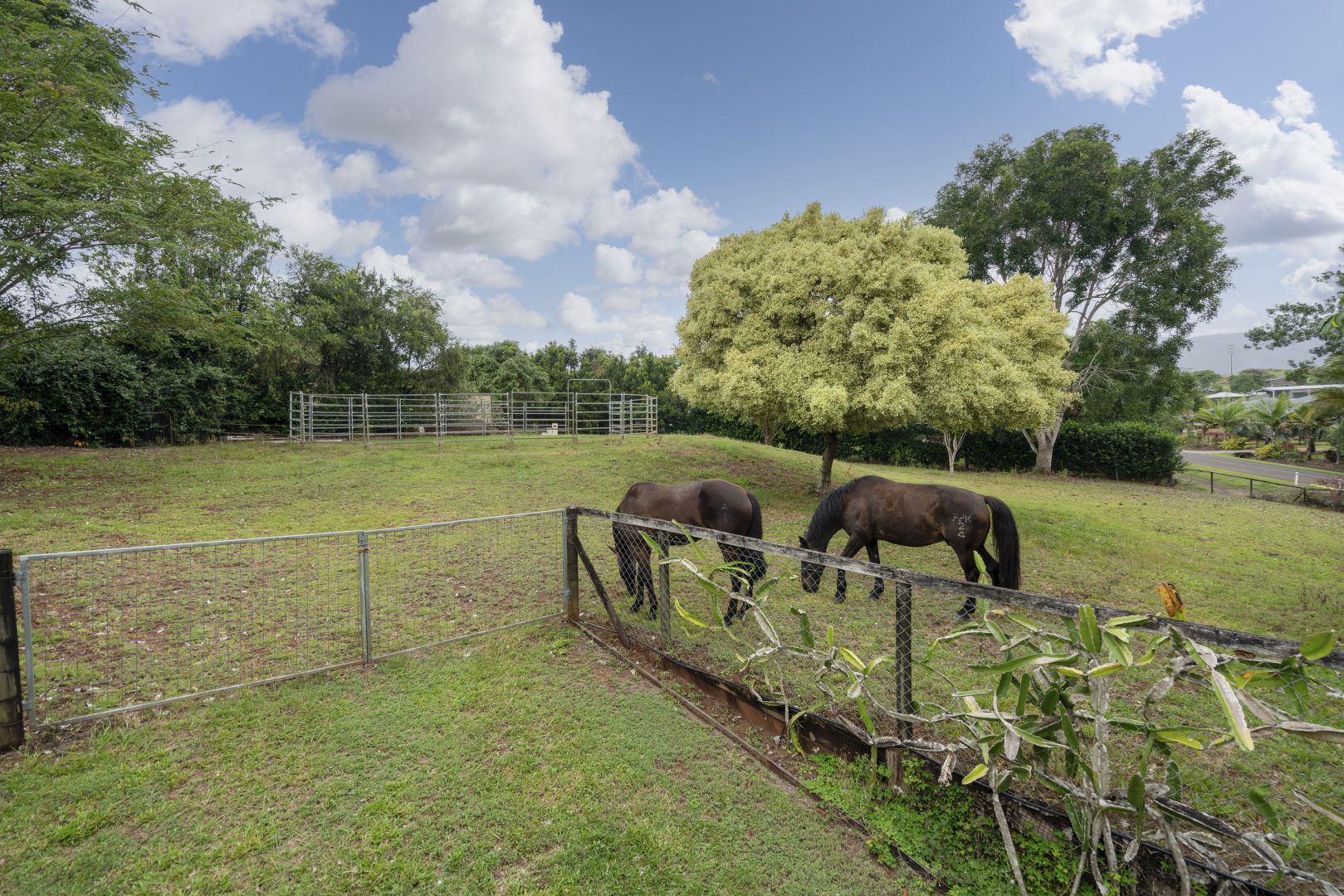 Goldsborough QLD 4865, Image 2