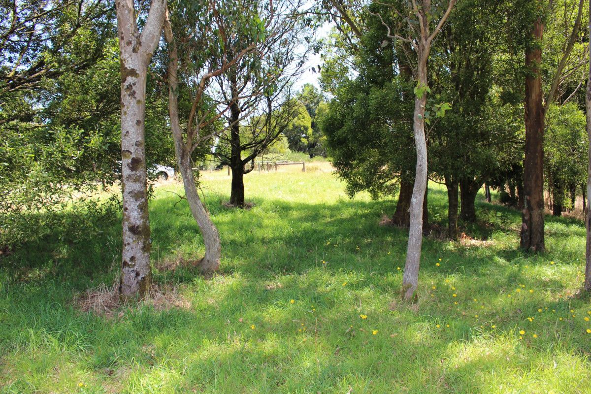 2 Buchanan Street, Beech Forest VIC 3237 Domain