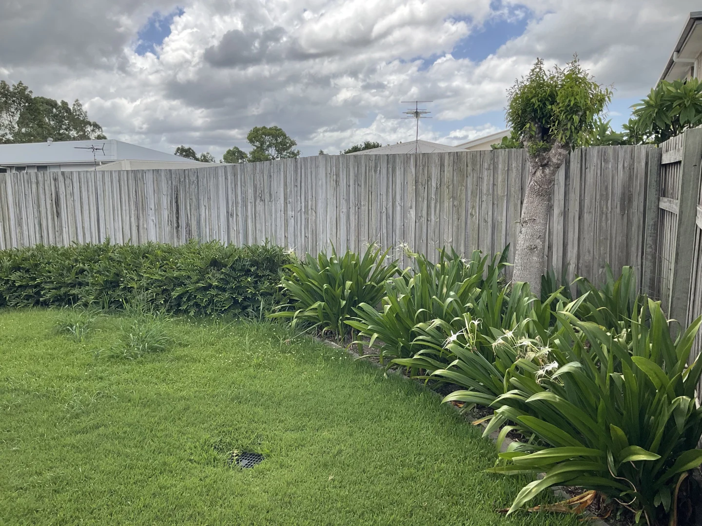 Image 13